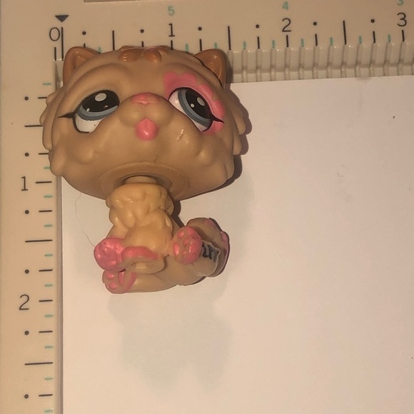 Littlest Pet Shop LPS Chow Chow Dog Figure #2304 - Good Condition - Picture 3 of 3